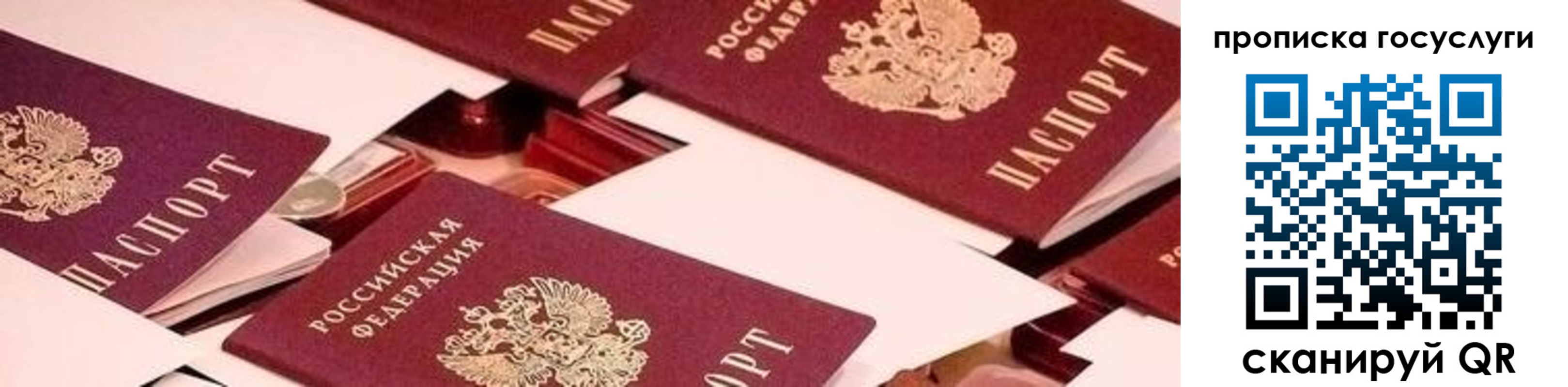 регистрация в Северске